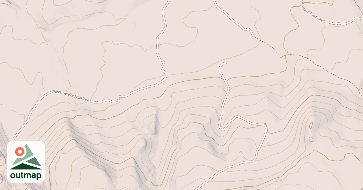 Map of USFS National Forest System Roads {F7BD31D9-9FEC-42A7-AAB0-06FEAD7F9C02}