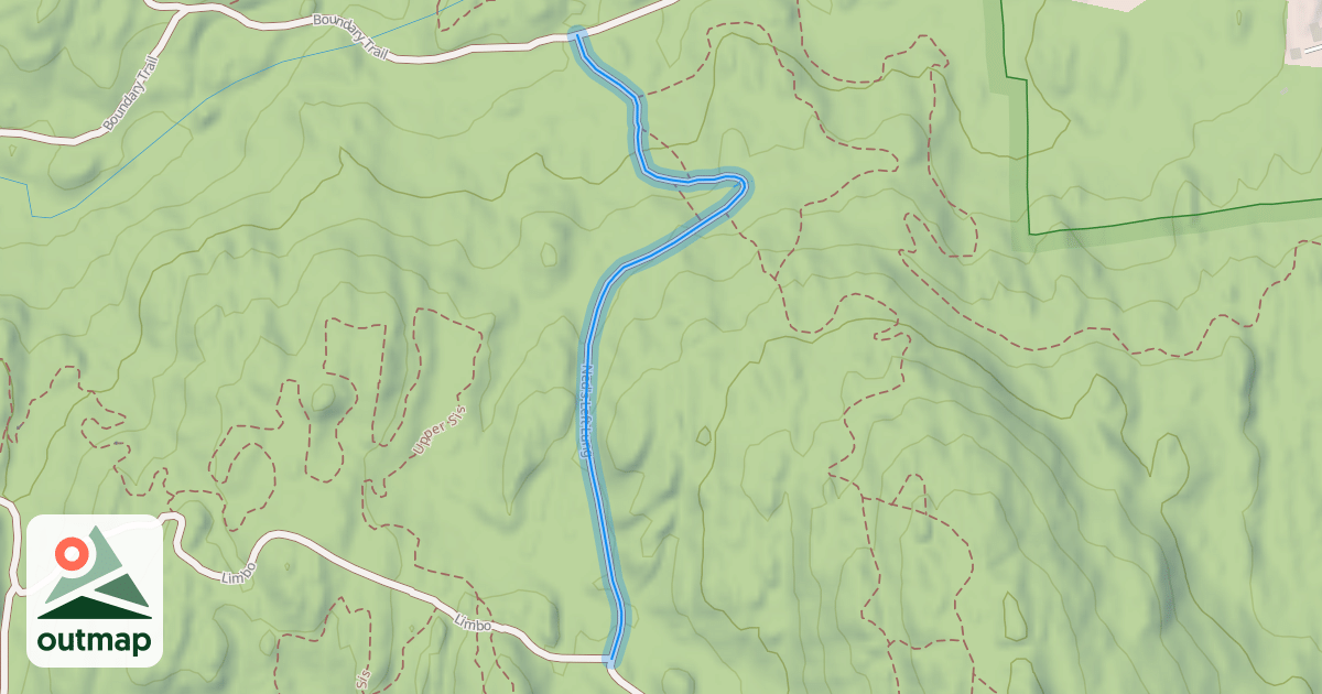 Map of Ned's Left Lung