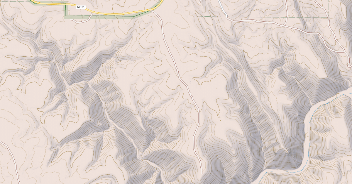 Map preview of USFS National Forest System Roads {C2BEDC40-B780-4552-88B6-51ECEA3AAAAE}