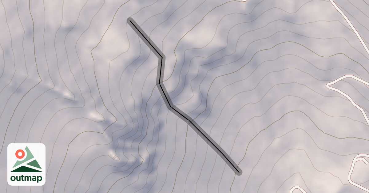 Map of 4th Gut