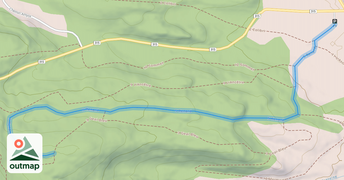 Map of 5 Renard