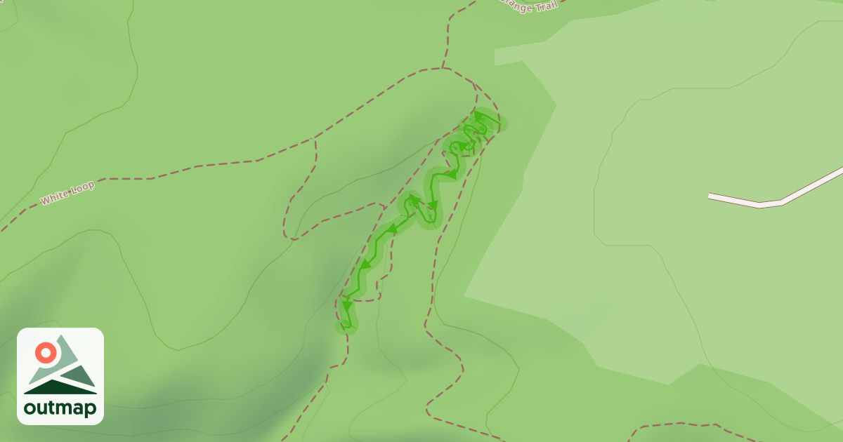 Map of Whoops (one way down!)