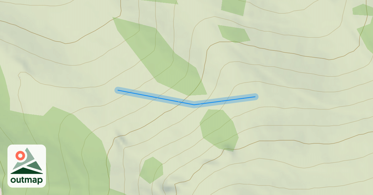 Map of Saving Face