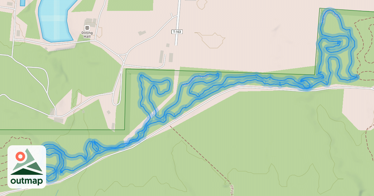 Map of Hamilton Loop