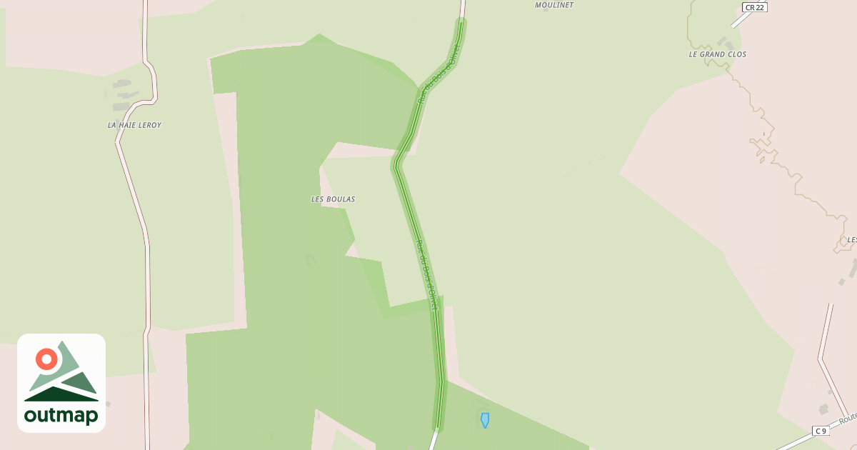 Map of Rue du Bois d'Olivet