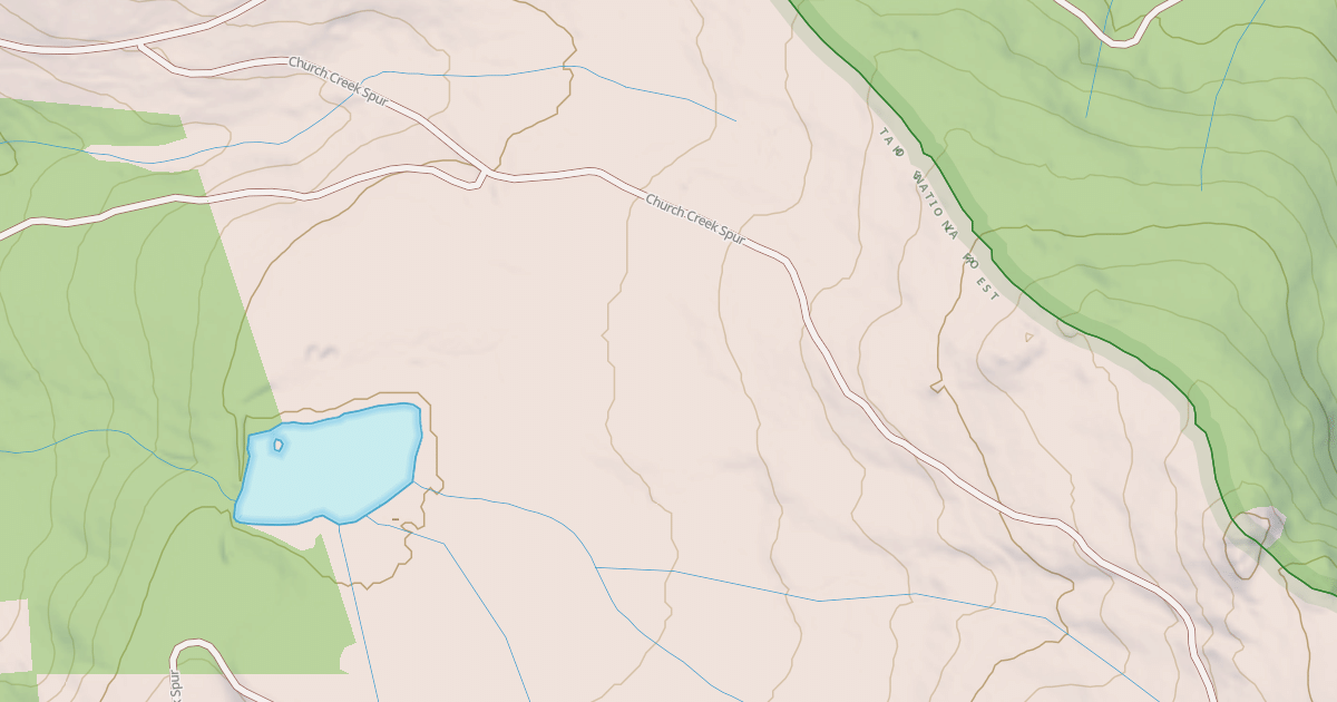 Map preview of CHURCH CREEK SPUR