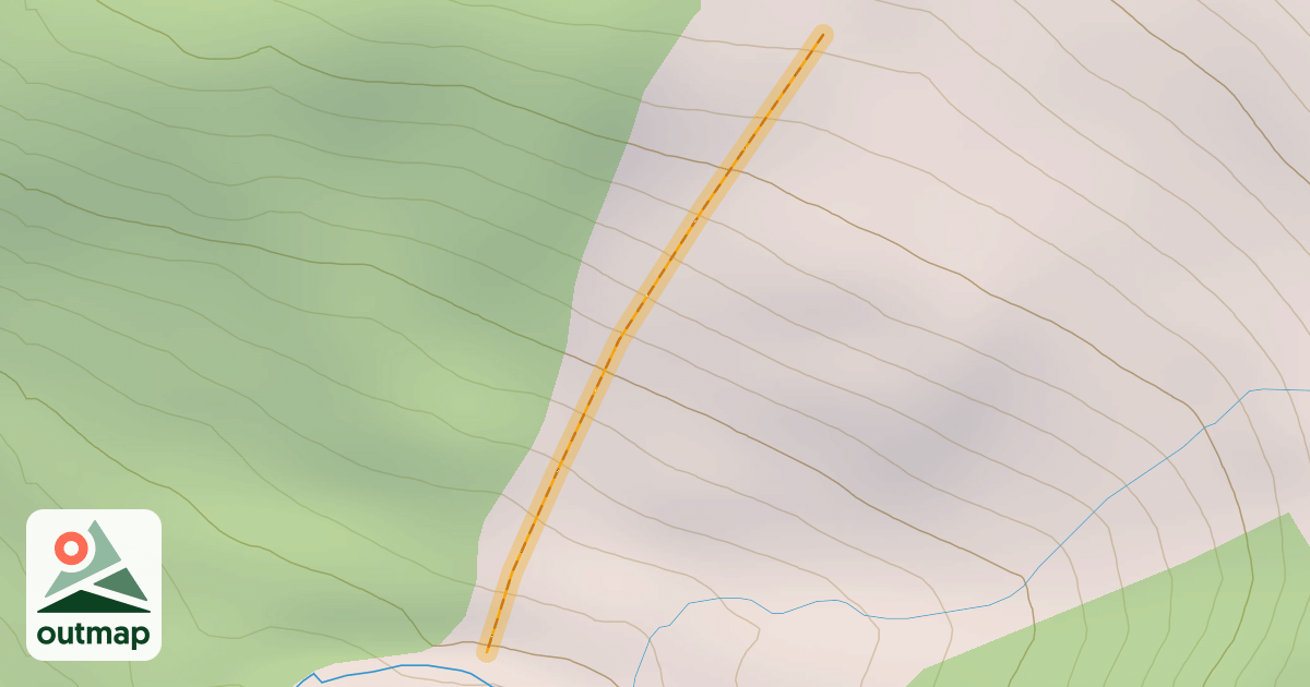Map of Christmas Trees