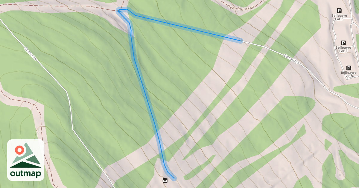 Map of Cayuga