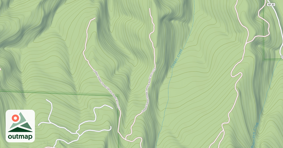 Map of USFS National Forest System Roads {EA1DC347-FDCF-4DF4-8058-8C5659E10257}