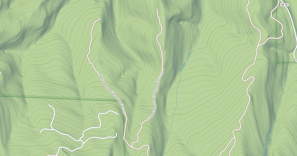 Map preview of USFS National Forest System Roads {EA1DC347-FDCF-4DF4-8058-8C5659E10257}