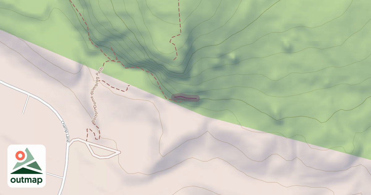 Map of Immunity Wall