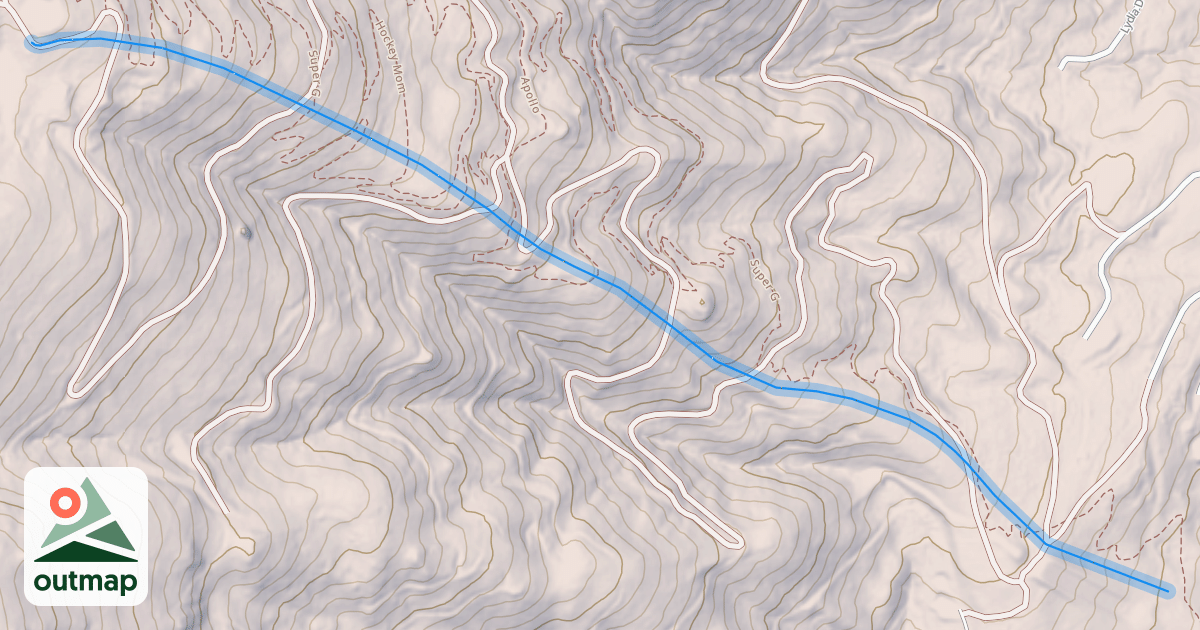 Map of Lower Showtime