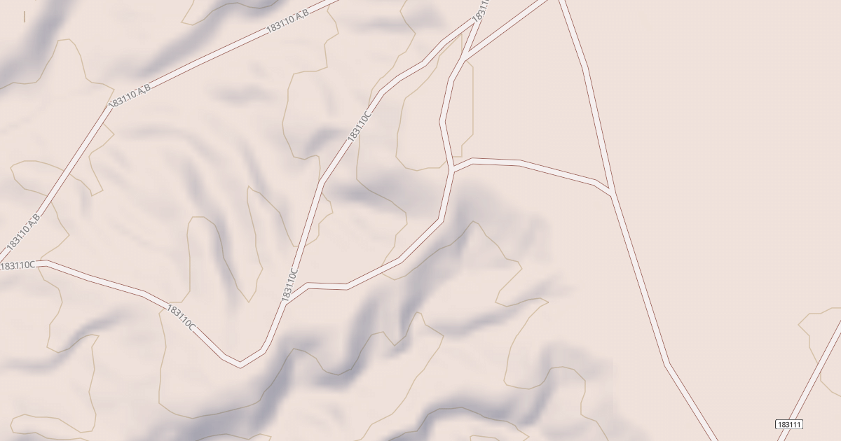 Map preview of BLM National GTLF Public Motorized Roads 145d5cf0-290b-45e2-b00e-3d810be5a1e0