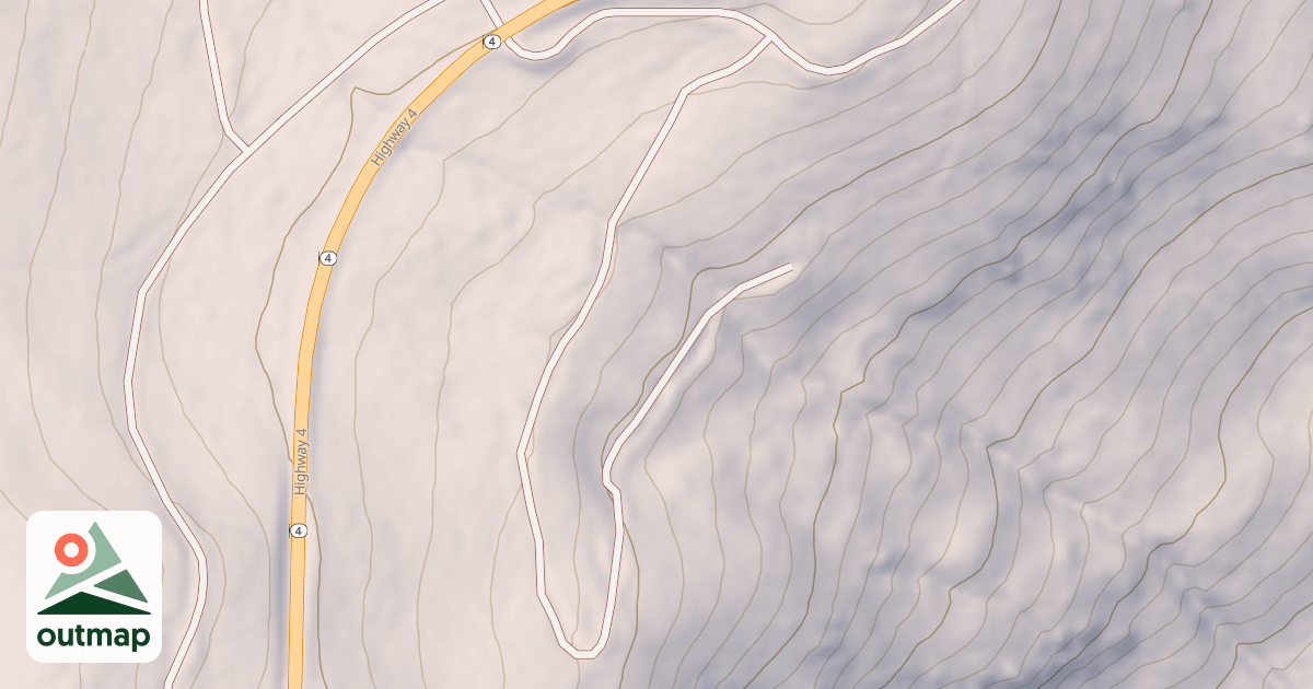Map of USFS National Forest System Roads {BC7DC98A-FE8C-4A2B-90C7-40A67E6AE9BA}