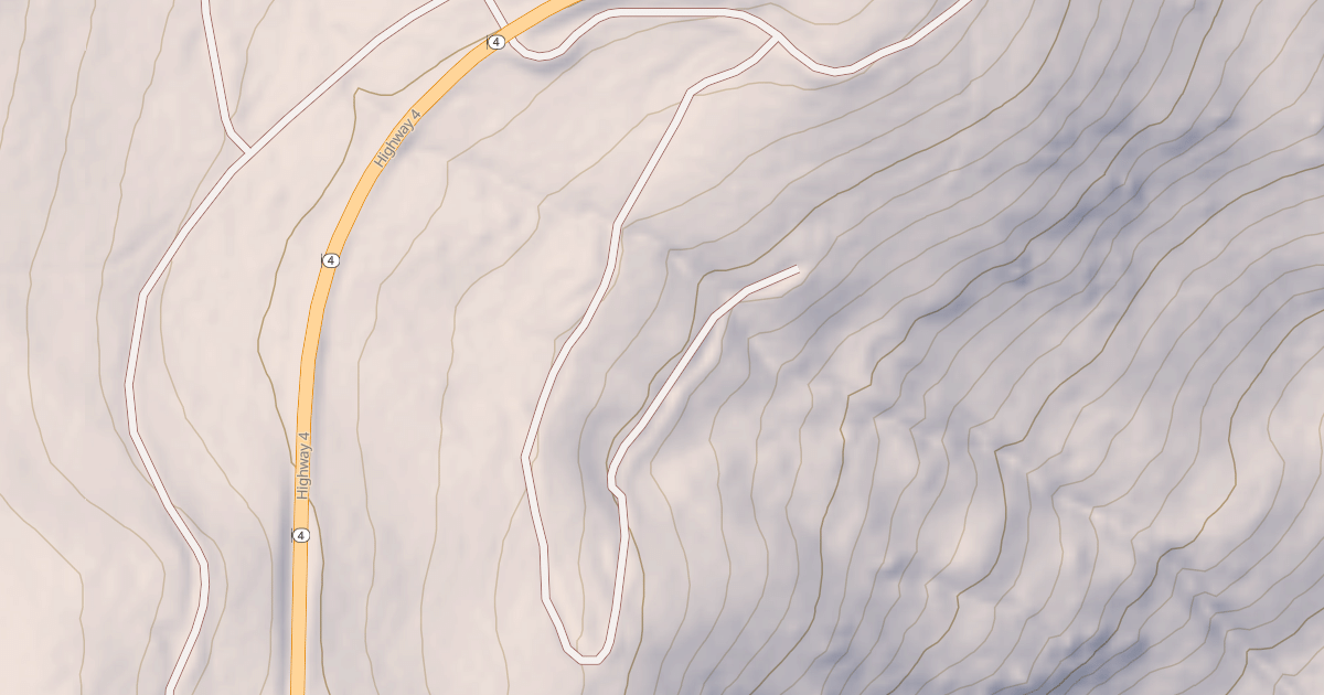 Map preview of USFS National Forest System Roads {BC7DC98A-FE8C-4A2B-90C7-40A67E6AE9BA}