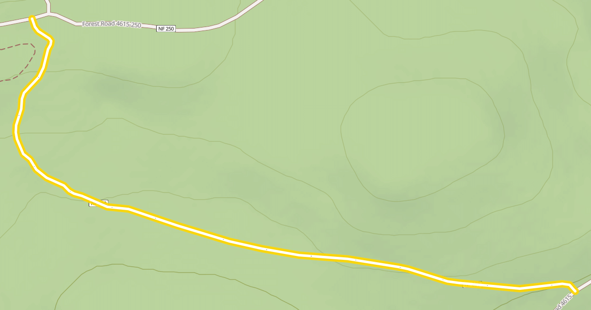 Map preview of Forest Road 4615-250