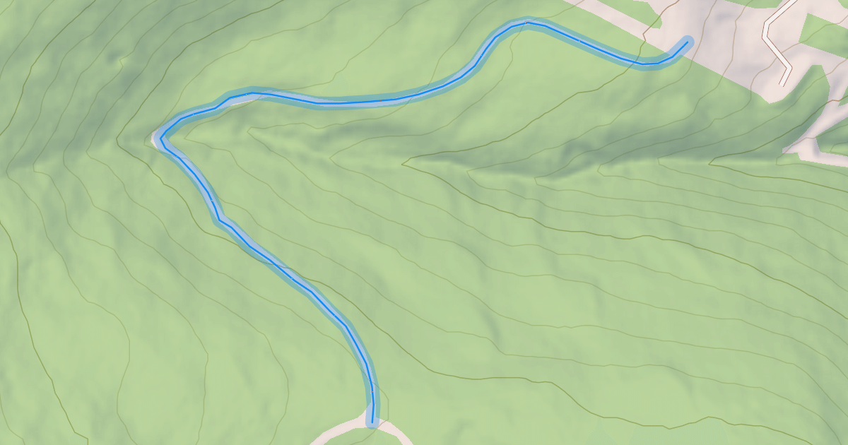 Map preview of Sassafras