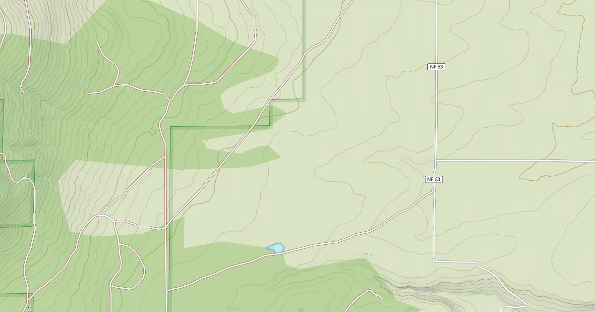 Map preview of USFS Motor Vehicle Use Map Roads {12A10531-83A4-4C78-B45C-B247A89EB8B6}