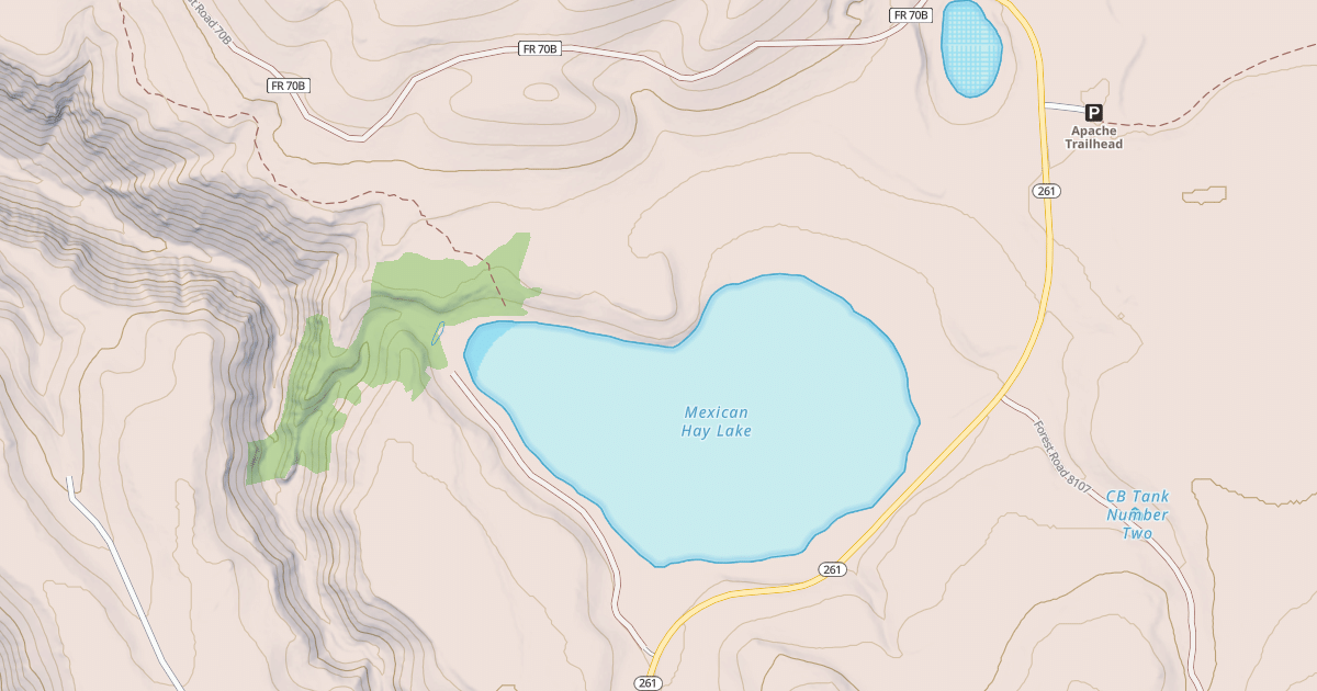 Map preview of MEXICAN HAY TS