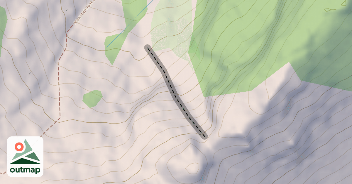 Map of Chicken Shot