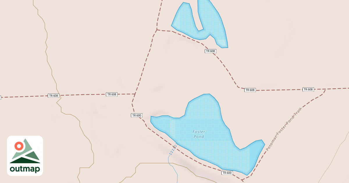 Map of Backbone