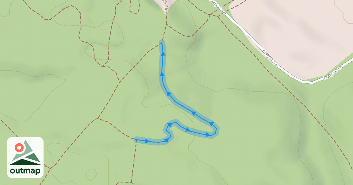 Map of Albion Witch