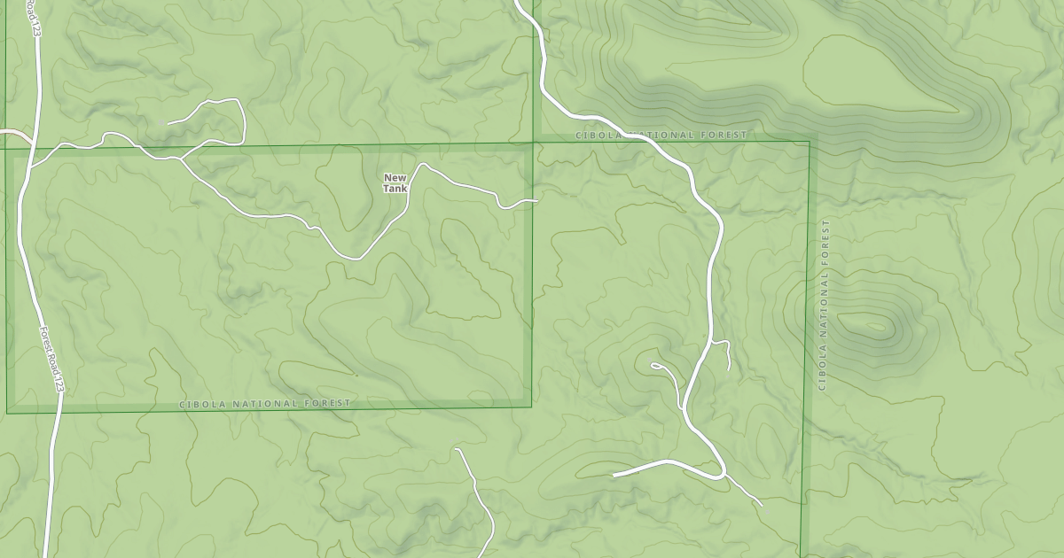 Map preview of USFS Motor Vehicle Use Map Roads {7AA28669-4C2D-45F6-BD39-AD11AD81461C}
