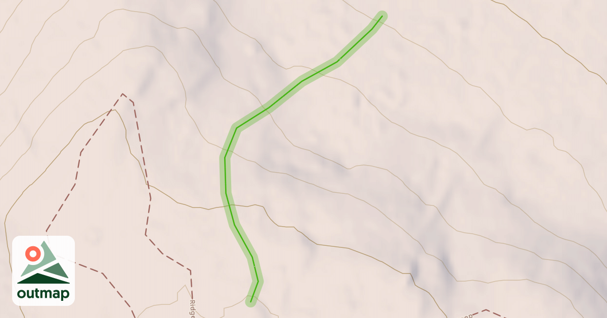Map of Placid