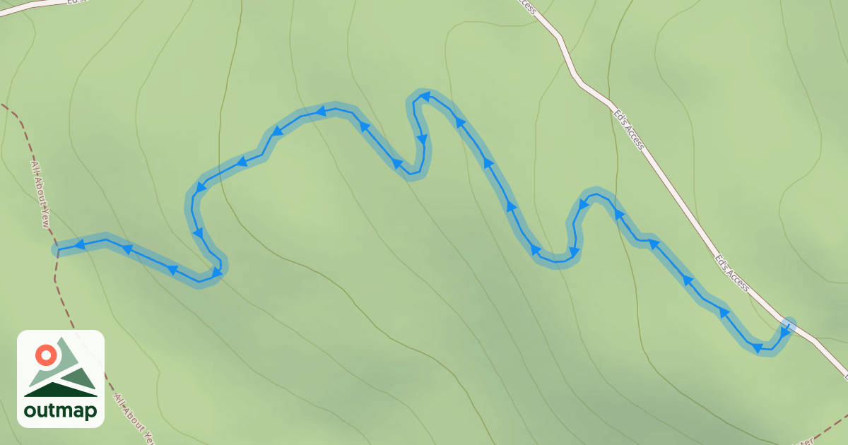 Map of Lower Lumbar