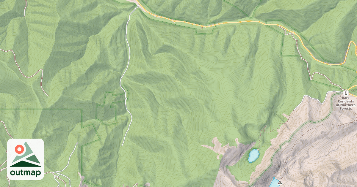 Map of Barton Creek