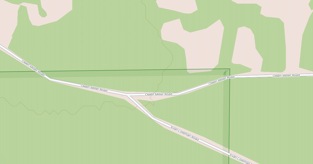 Map preview of USFS Motor Vehicle Use Map Roads {446AB0FA-2874-4164-996C-837D10AF81EF}