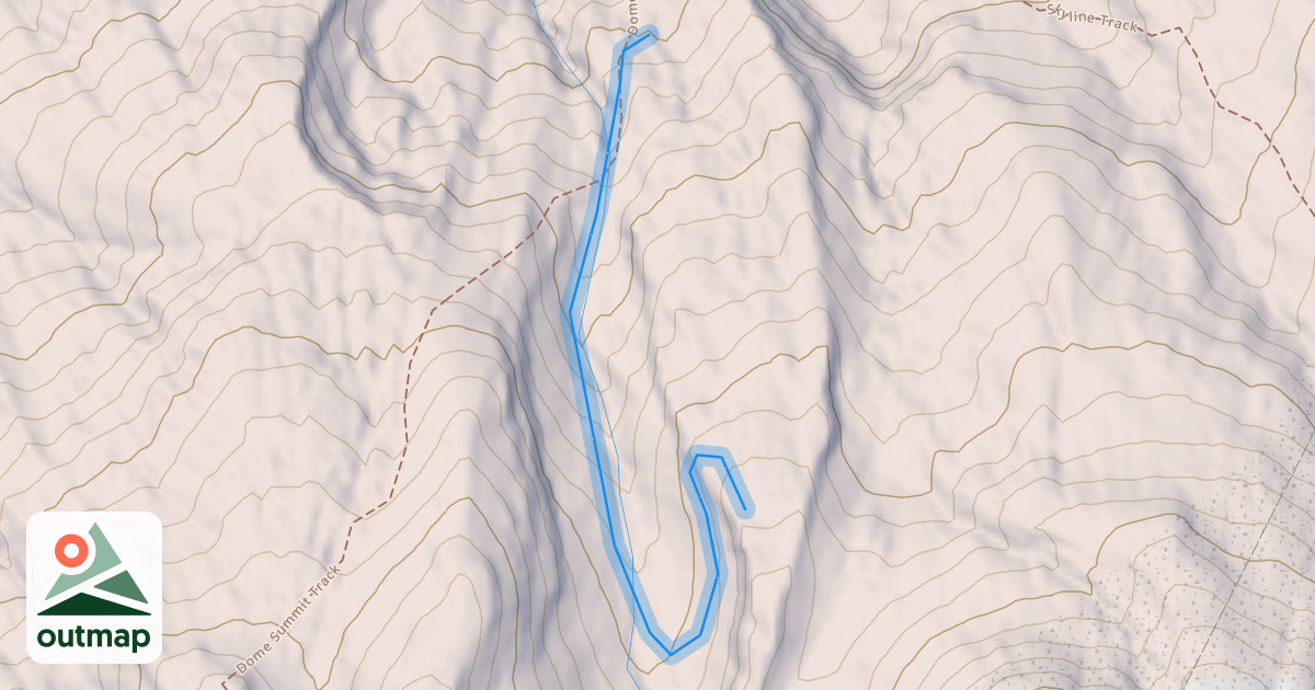 Map of The Gut