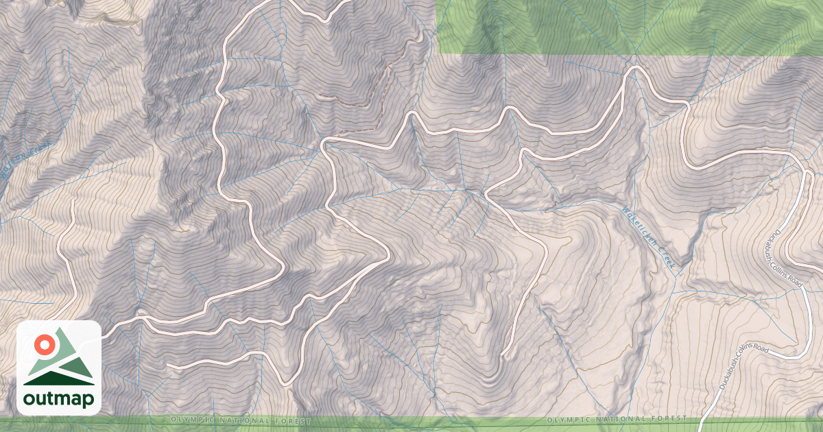Map of USFS Motor Vehicle Use Map Roads {8E9BC937-1F66-4B05-BF02-3D86BE9E7E25}