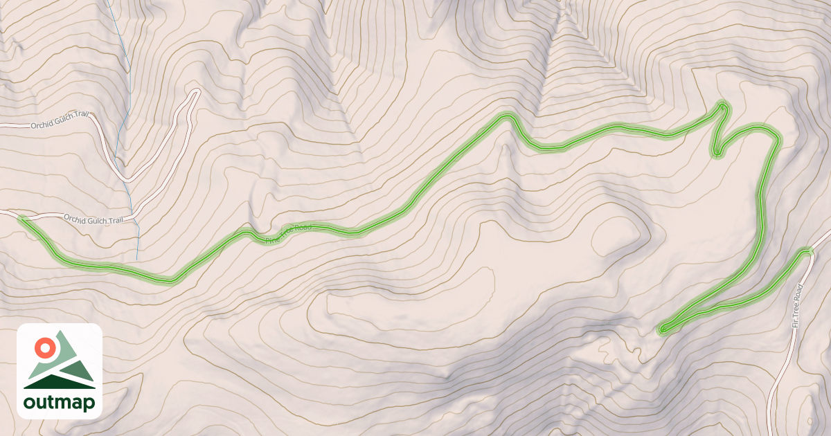 Map of Pine Tree Road