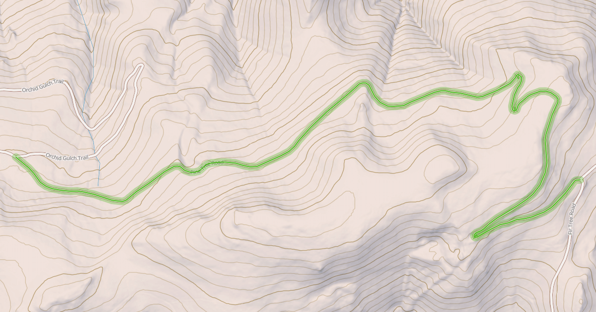 Map preview of Pine Tree Road