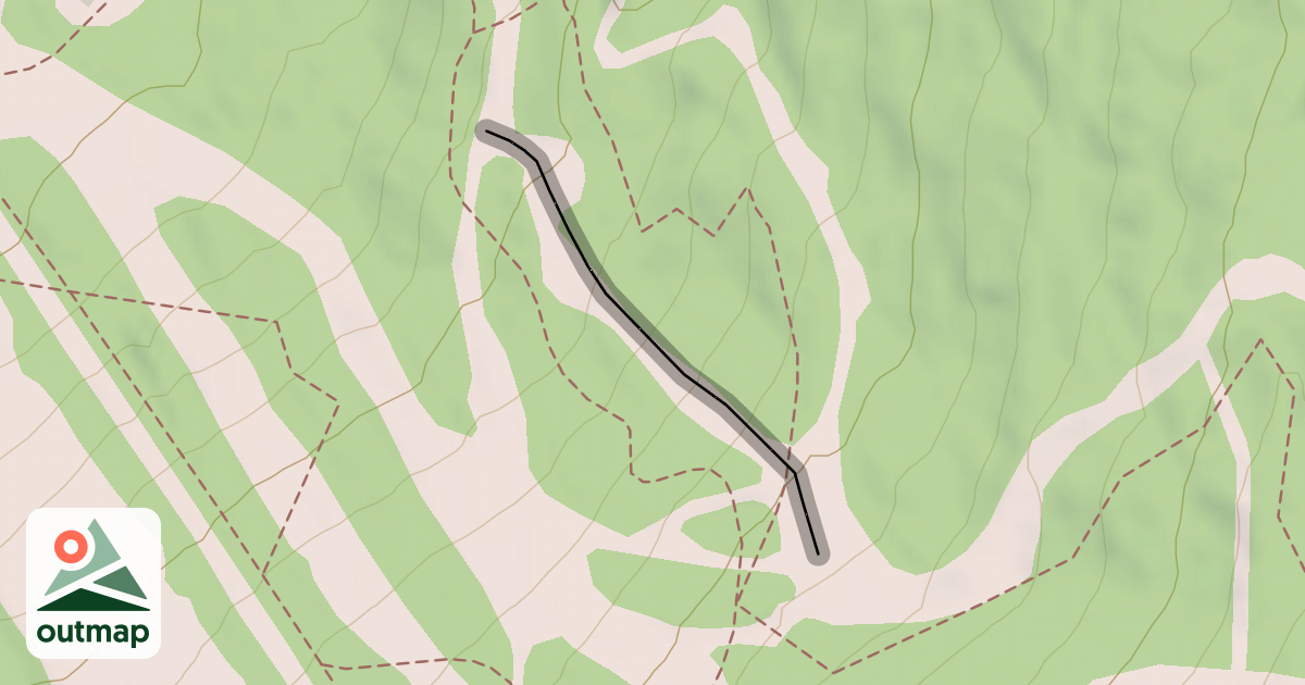 Map of Chute