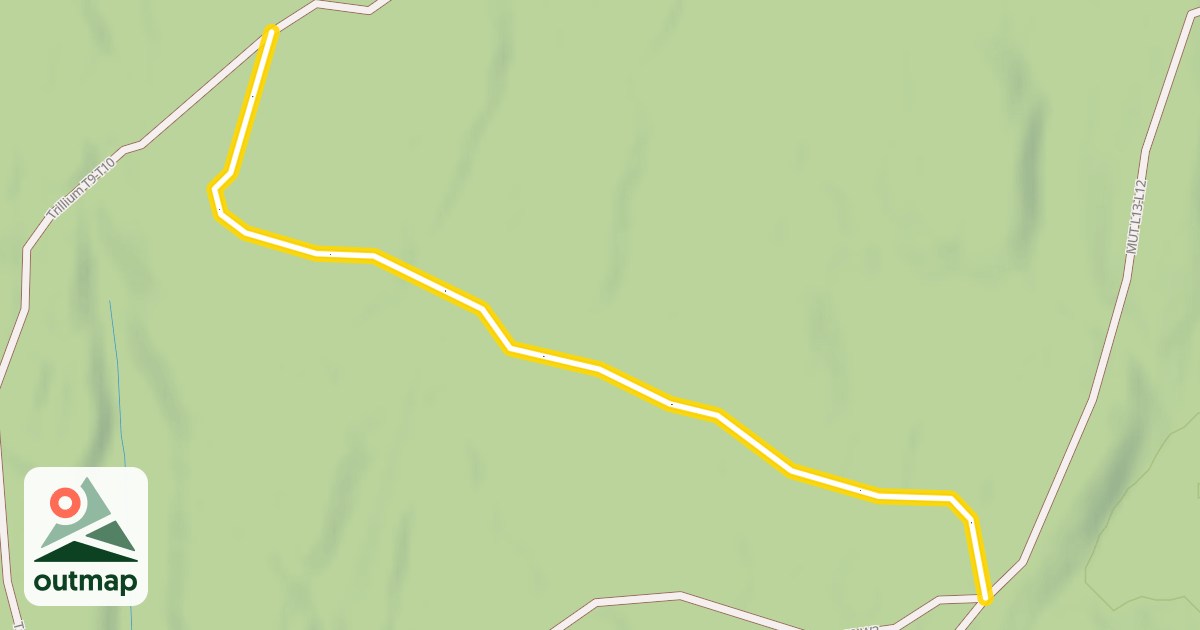 Map of Adam Scott T9-L13