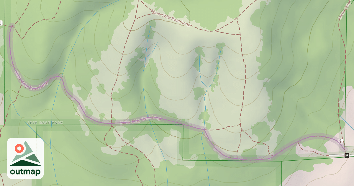 Map of Main Chip Ross Loop