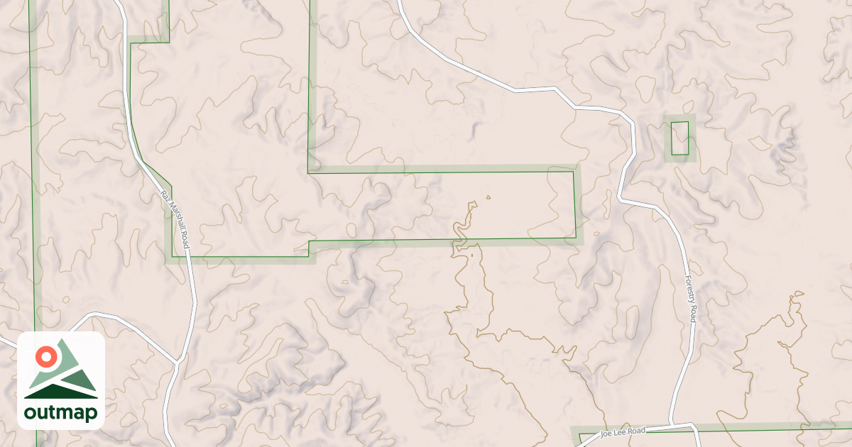 Map of USFS National Forest System Roads {4B2745AF-9A87-4226-8B46-2CBFD53A23C8}