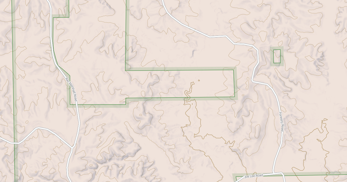 Map preview of USFS National Forest System Roads {4B2745AF-9A87-4226-8B46-2CBFD53A23C8}