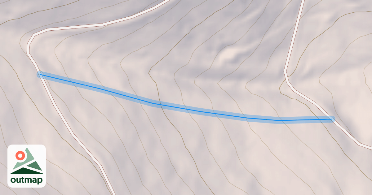 Map of Topsy