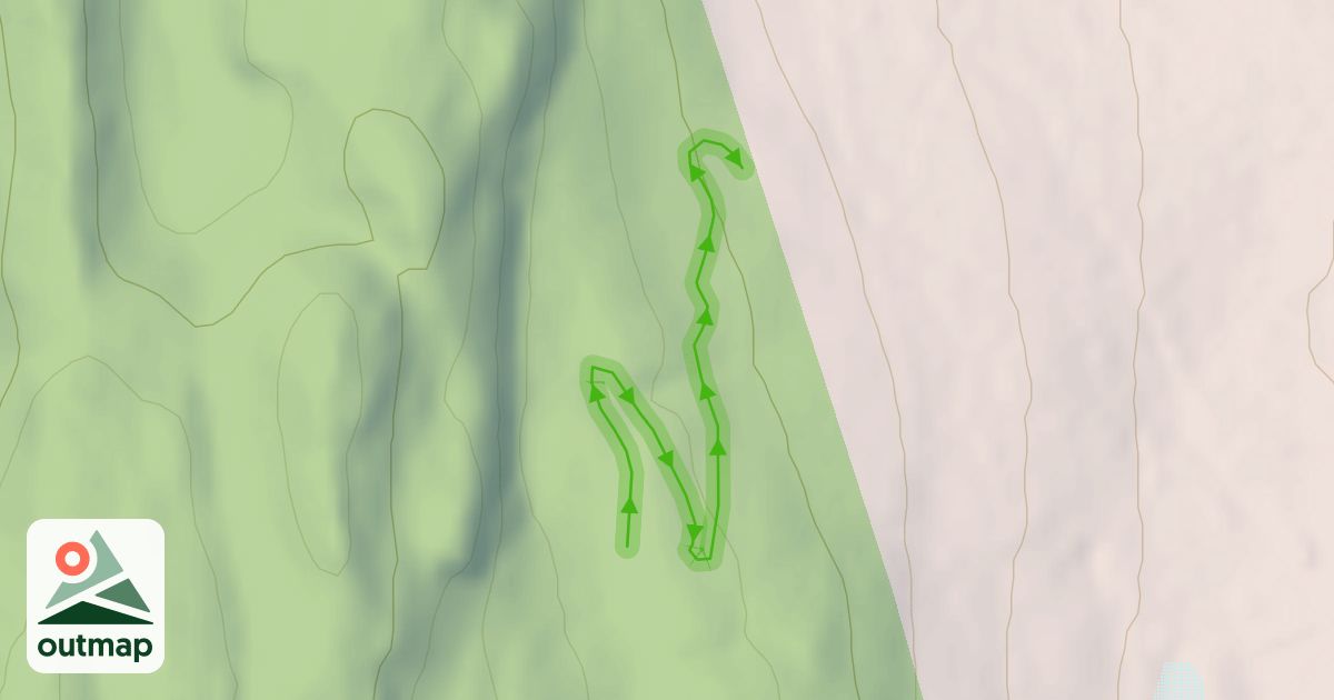 Map of Forest Green