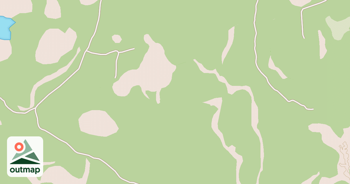 Map of USFS National Forest System Roads {B2990765-7749-47DC-991F-AAB2ACF21F37}