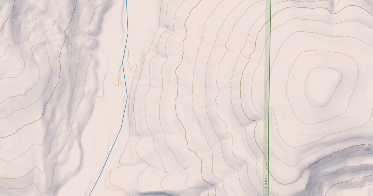 Map preview of USFS Motor Vehicle Use Map Roads {4EB7C4DF-AA09-41D3-AE63-31564553D6BB}