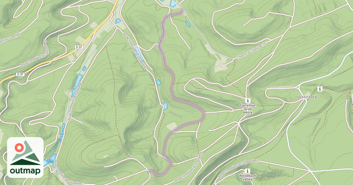Map of Route Forestière du Speckkopf inférieur