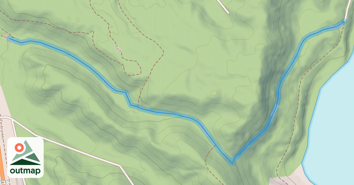 Map of Mossy
