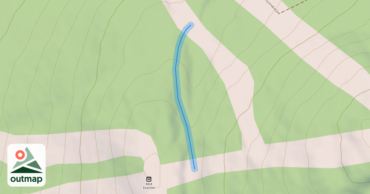 Map of Wood's Hole