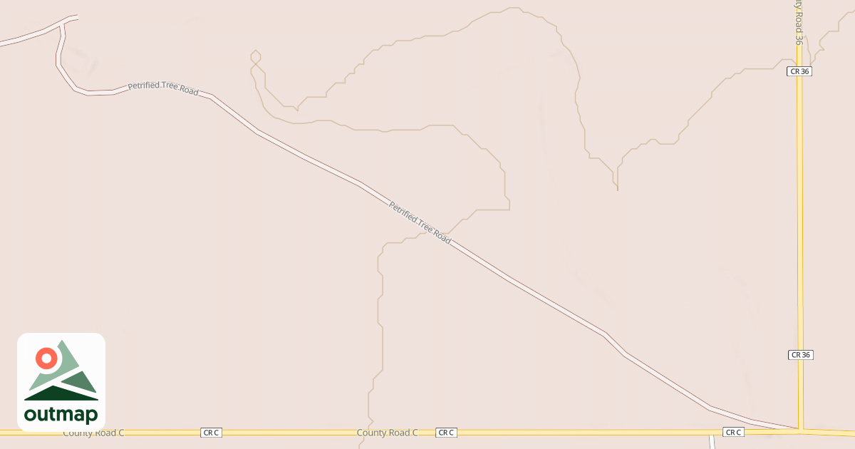 Map of PETRIFIED TREE