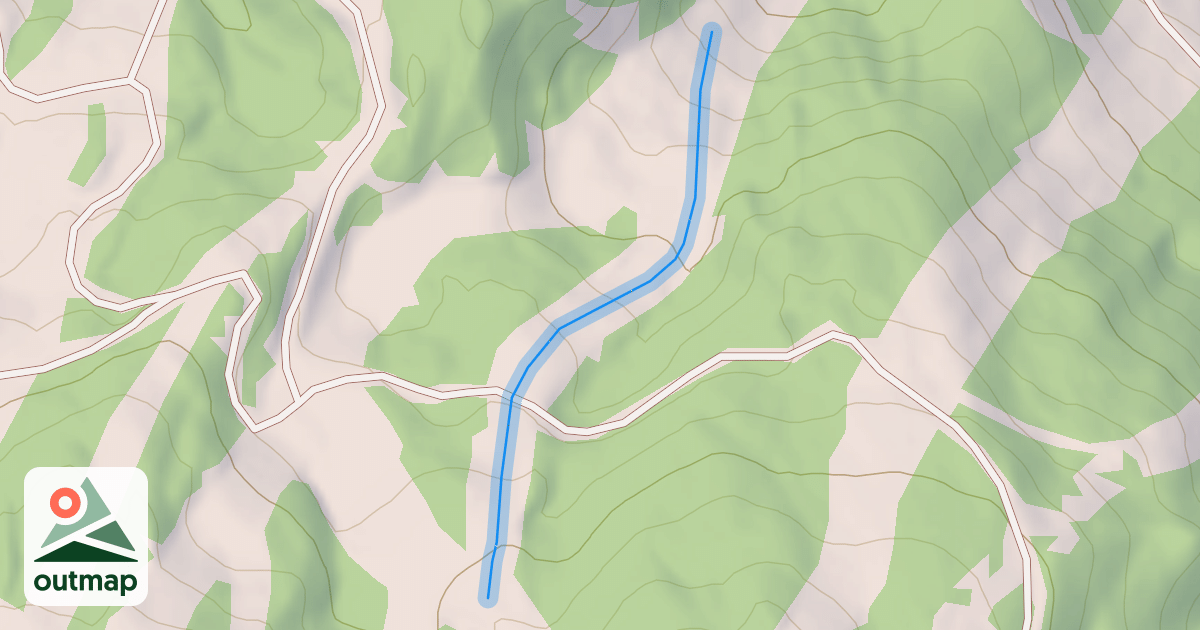 Map of Floresta