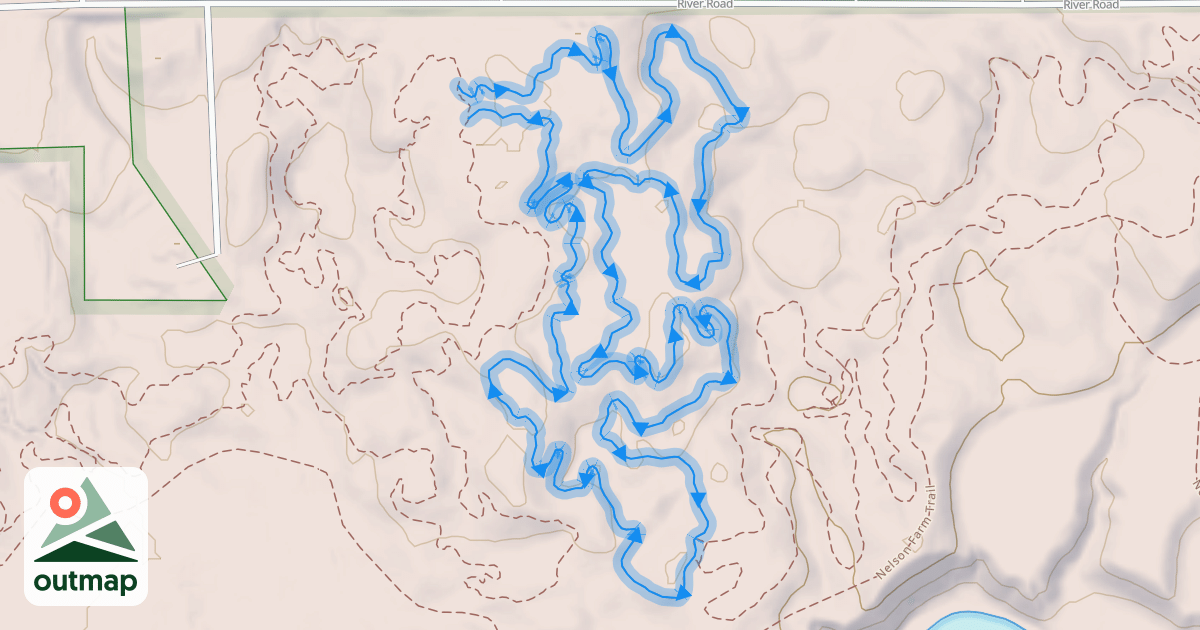 Map of Rubber Chicken